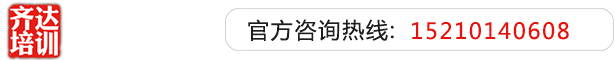 骚货欠日齐达艺考文化课-艺术生文化课,艺术类文化课,艺考生文化课logo